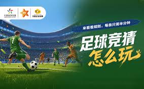 训练教学
